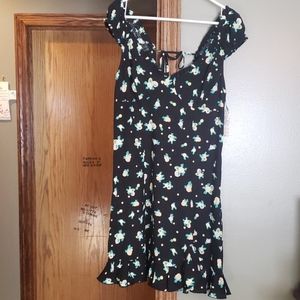 Free people L spring dress